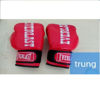 Picture of Găng Boxing Hiệu Everlast